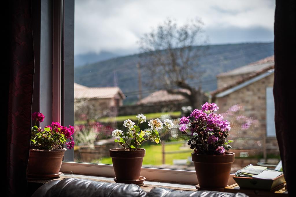 Casa rural Complejo Rural *
